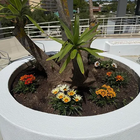 Newly Refurbished 2 Bed Appt